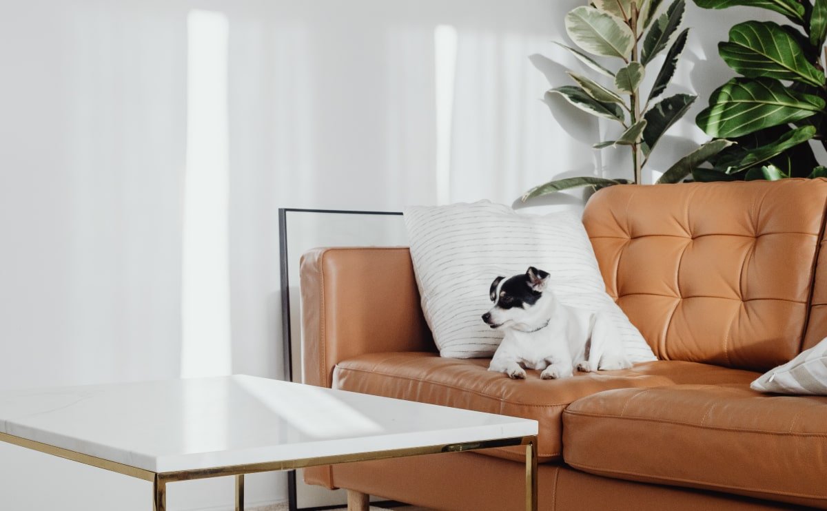 Wd Furniture Blog 5 Opt